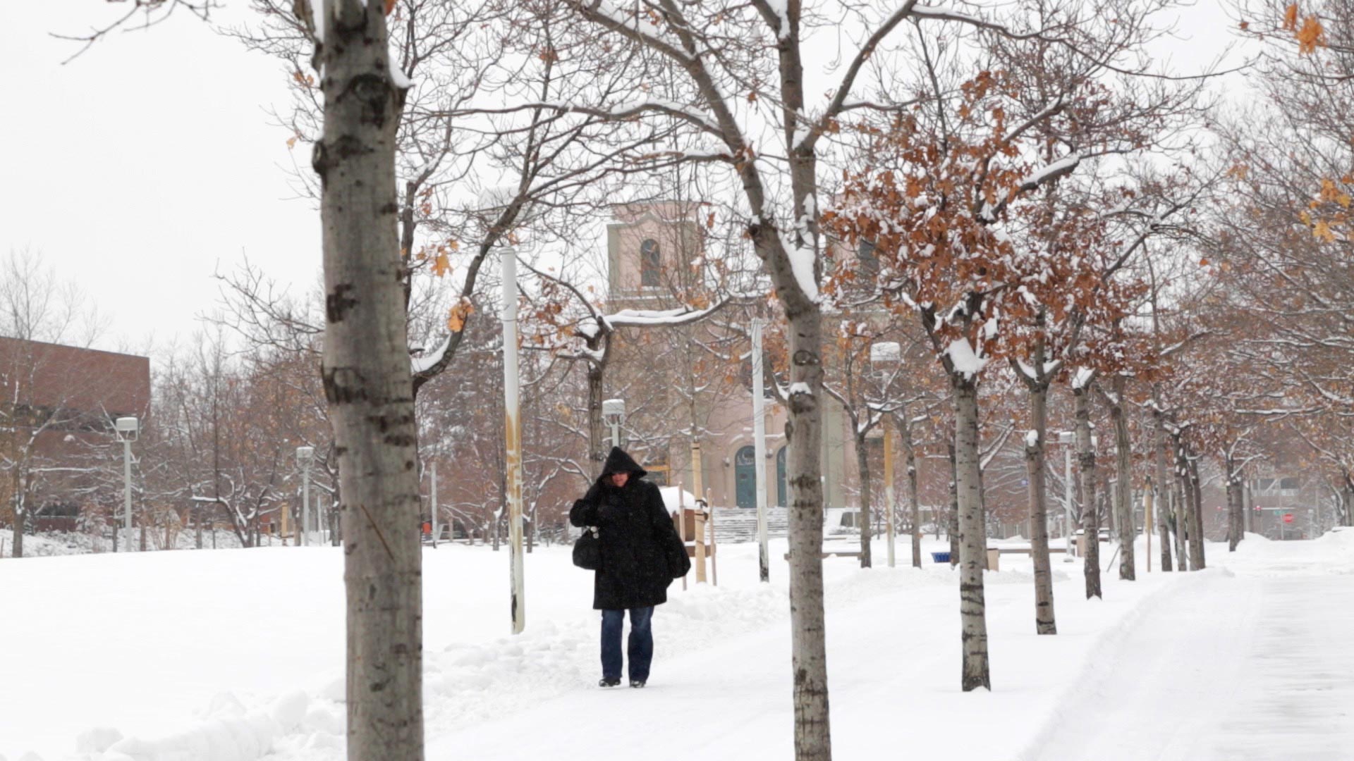 The truth about winter in Denver MSU Denver RED