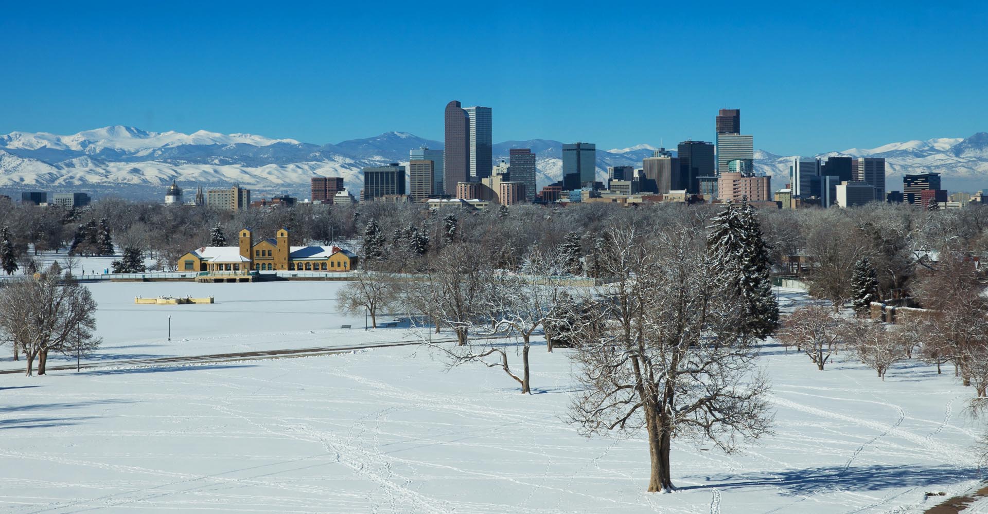 The weird and wonderful world of Denver snow