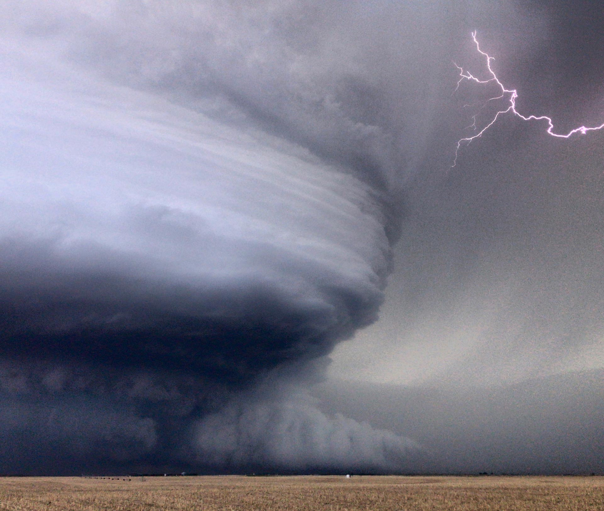 VIDEO: Taken by storm - MSU Denver RED