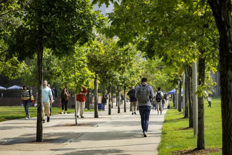 Bustling campus with leafy trees