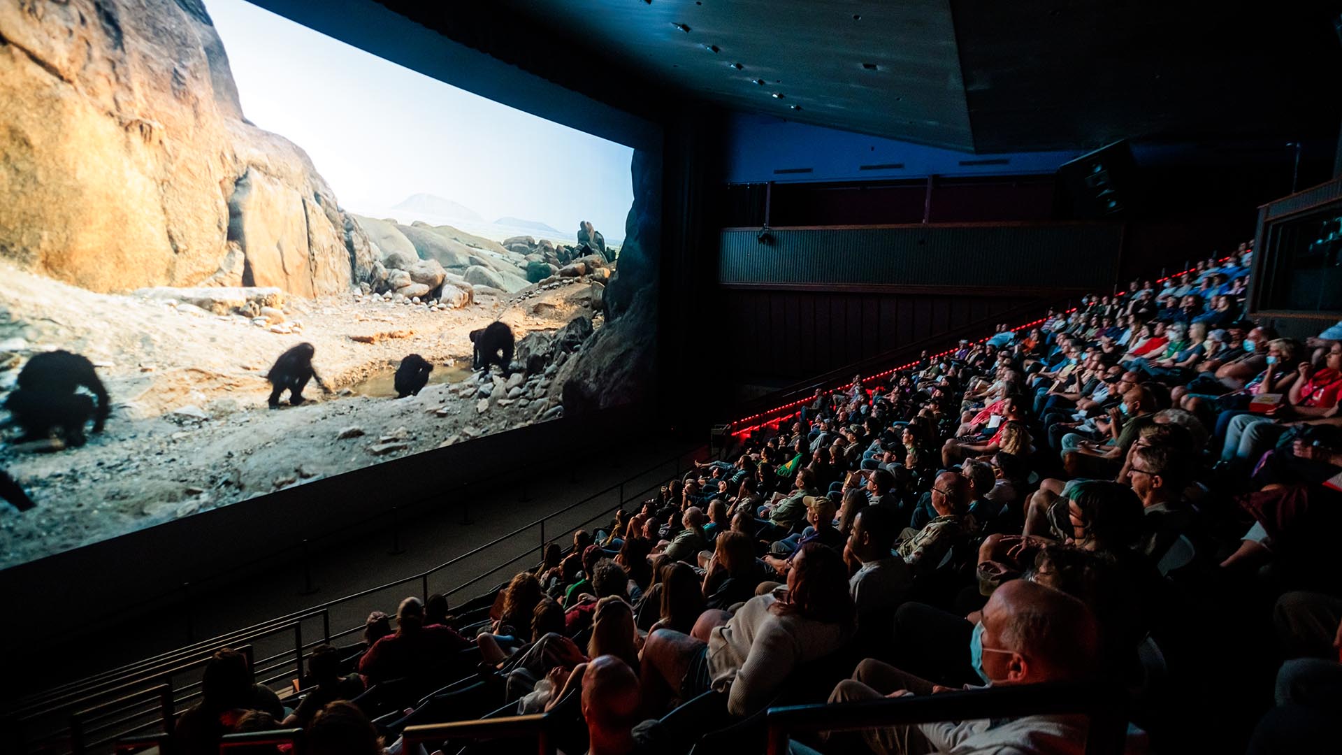 Denver After Dark: best movie theatres
