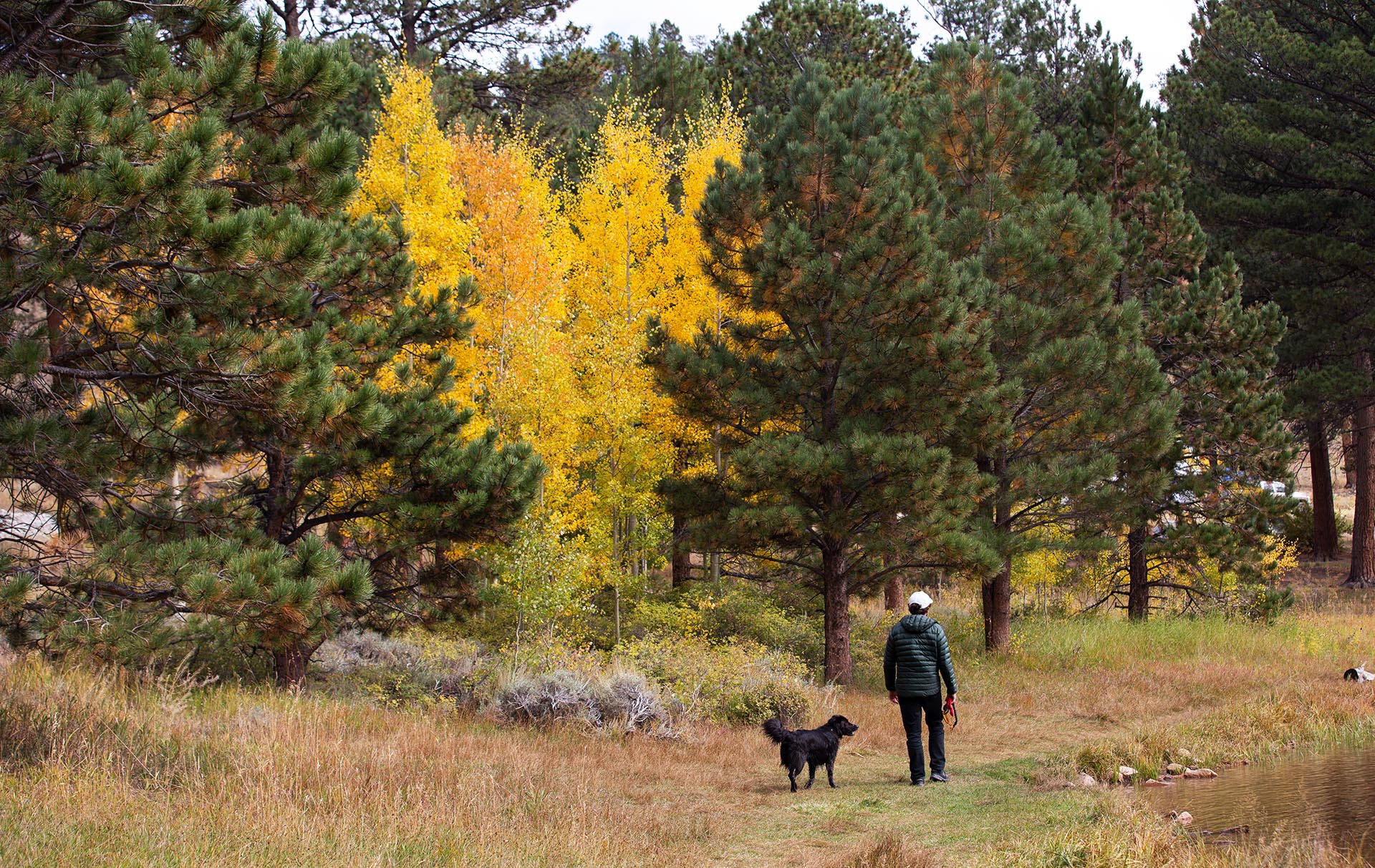Hiker and dog on trail in autumn