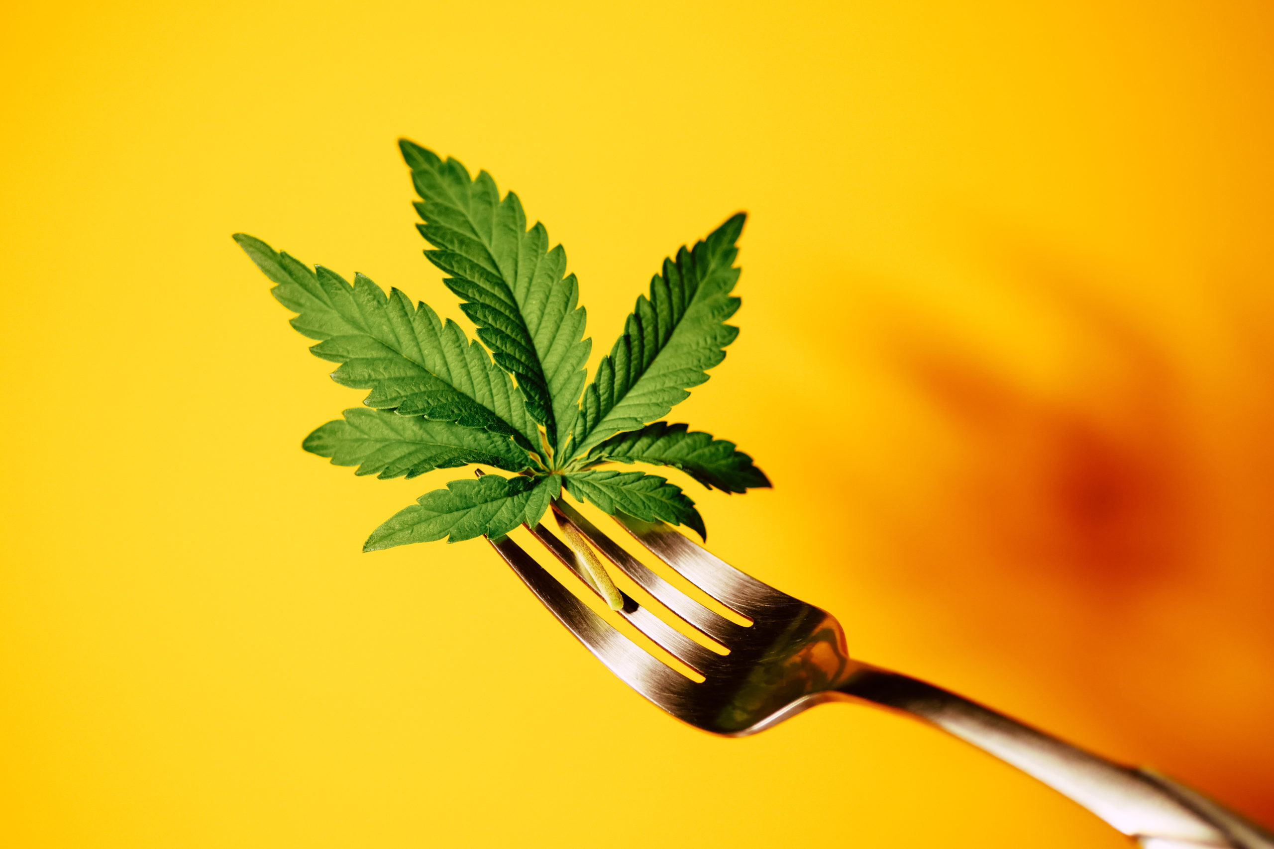 A fork with a cannabis plant