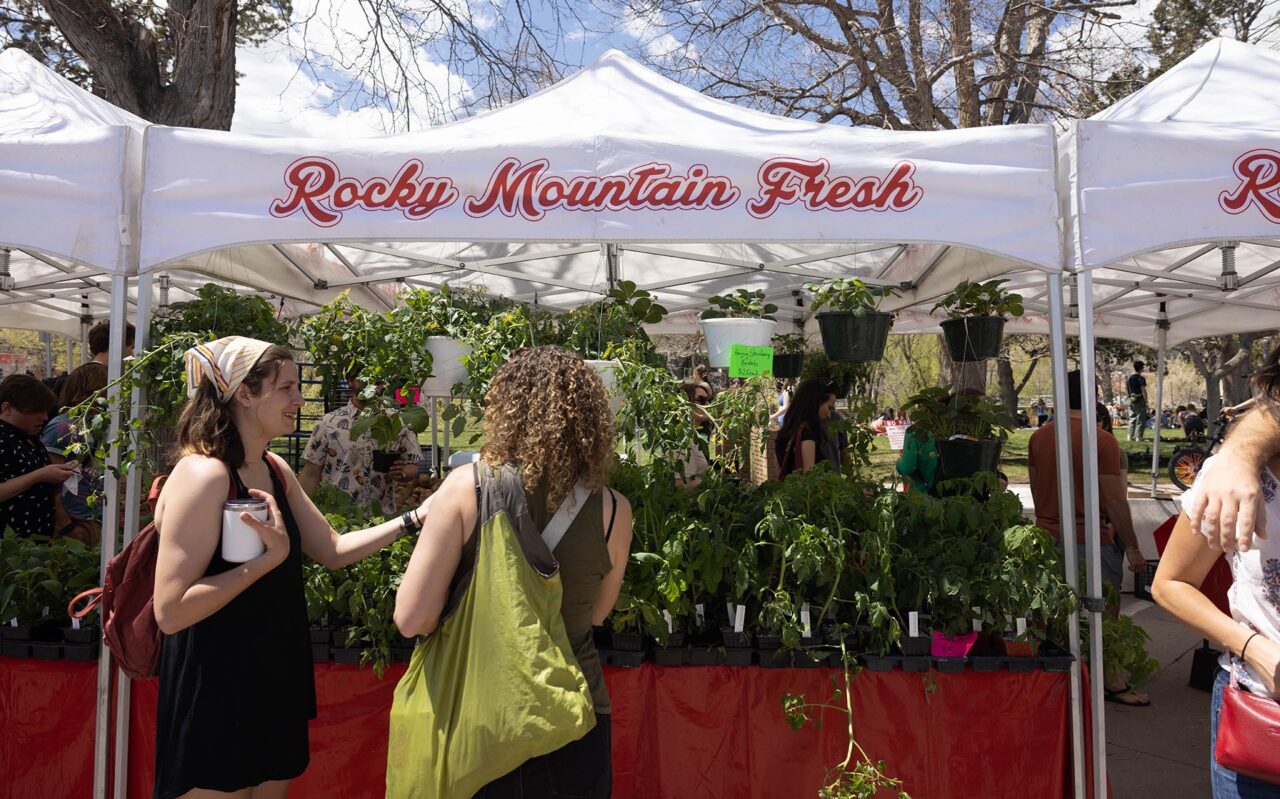 Denver After Dawn best farmers markets MSU Denver RED