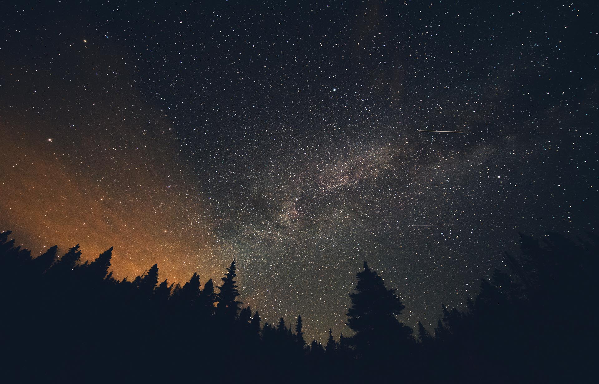 Milk Way night sky over pine trees