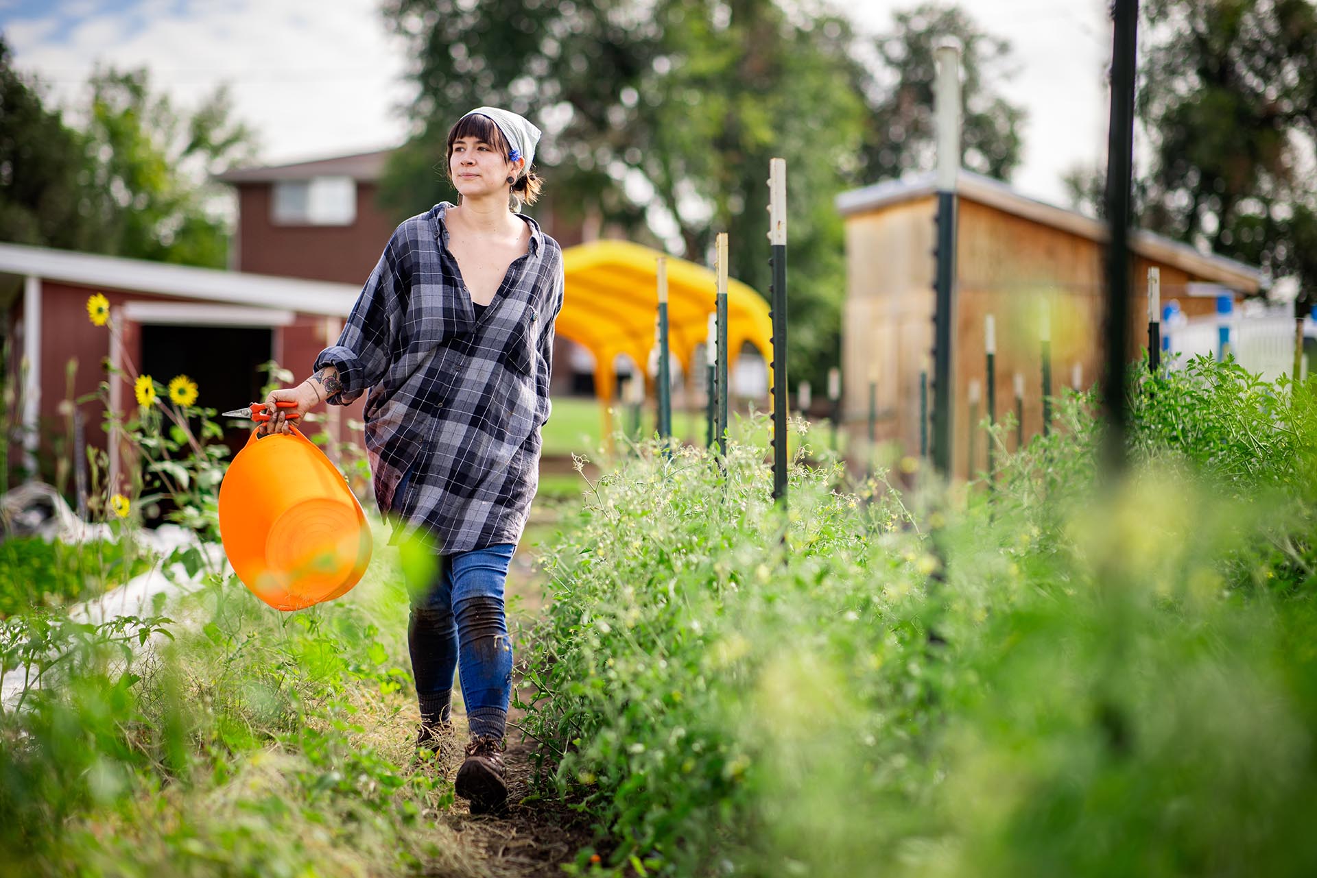 Angelica Marley, works seasonally at a nonprofit called Sprout City Farms