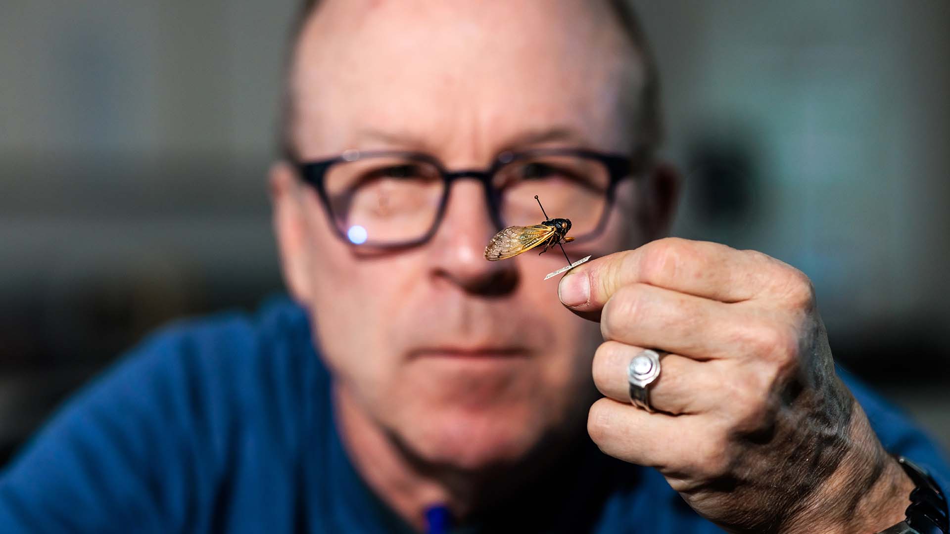 MSU Denver entomologist Bob Hancock