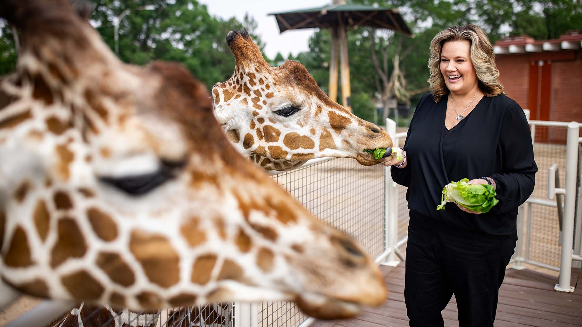 Biology grad maintains safe habitat at Denver Zoo