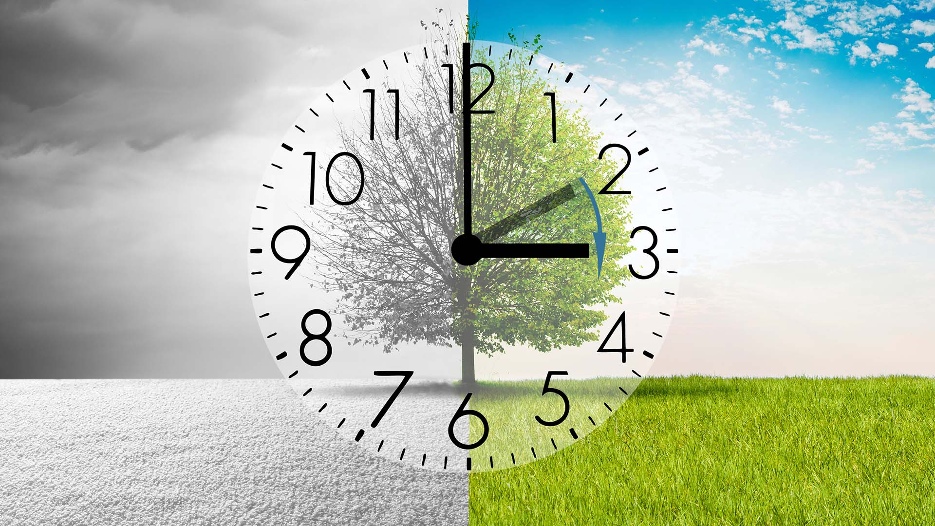 Clock with seasons