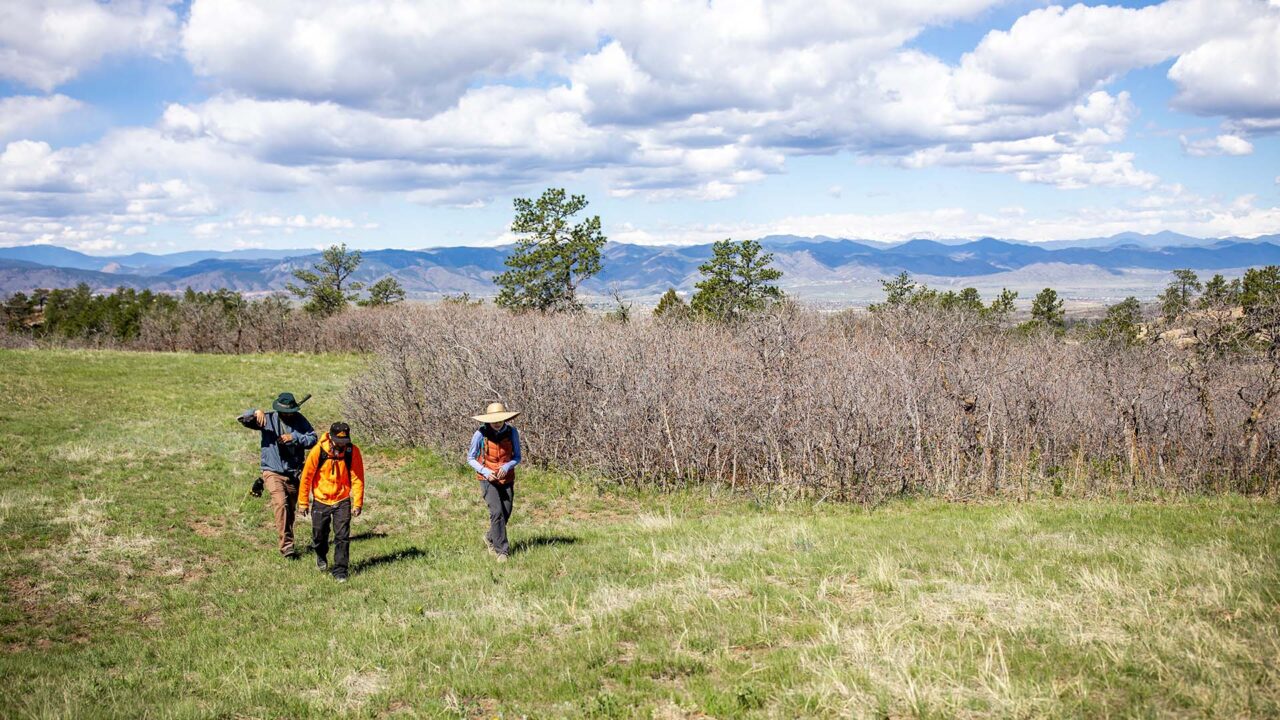The team walks to a site.