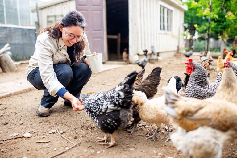Leah Dory feeds the chickens at her family's farm