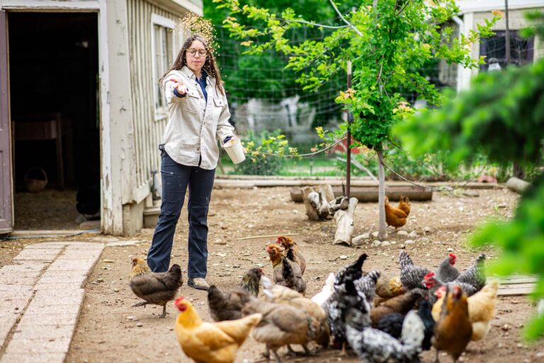 Leah Dory feeds the chickens at her family's farm