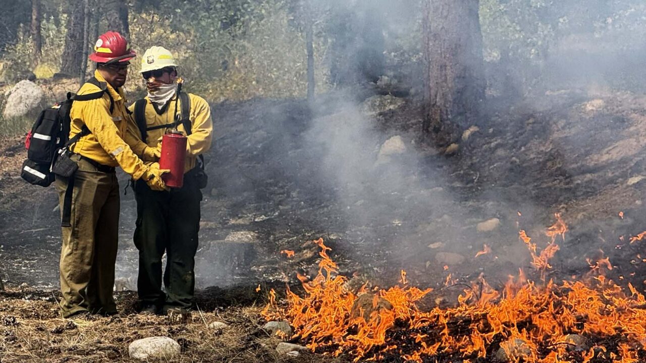MSU Denver students practice hands-on fire training in Salida, Col., last fall.