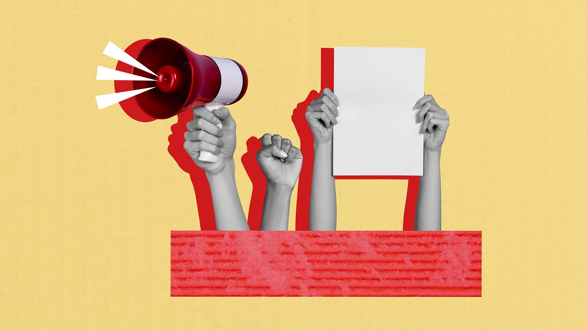 Democratic socialist candidates stirred the primary election pot. But can they win in November?