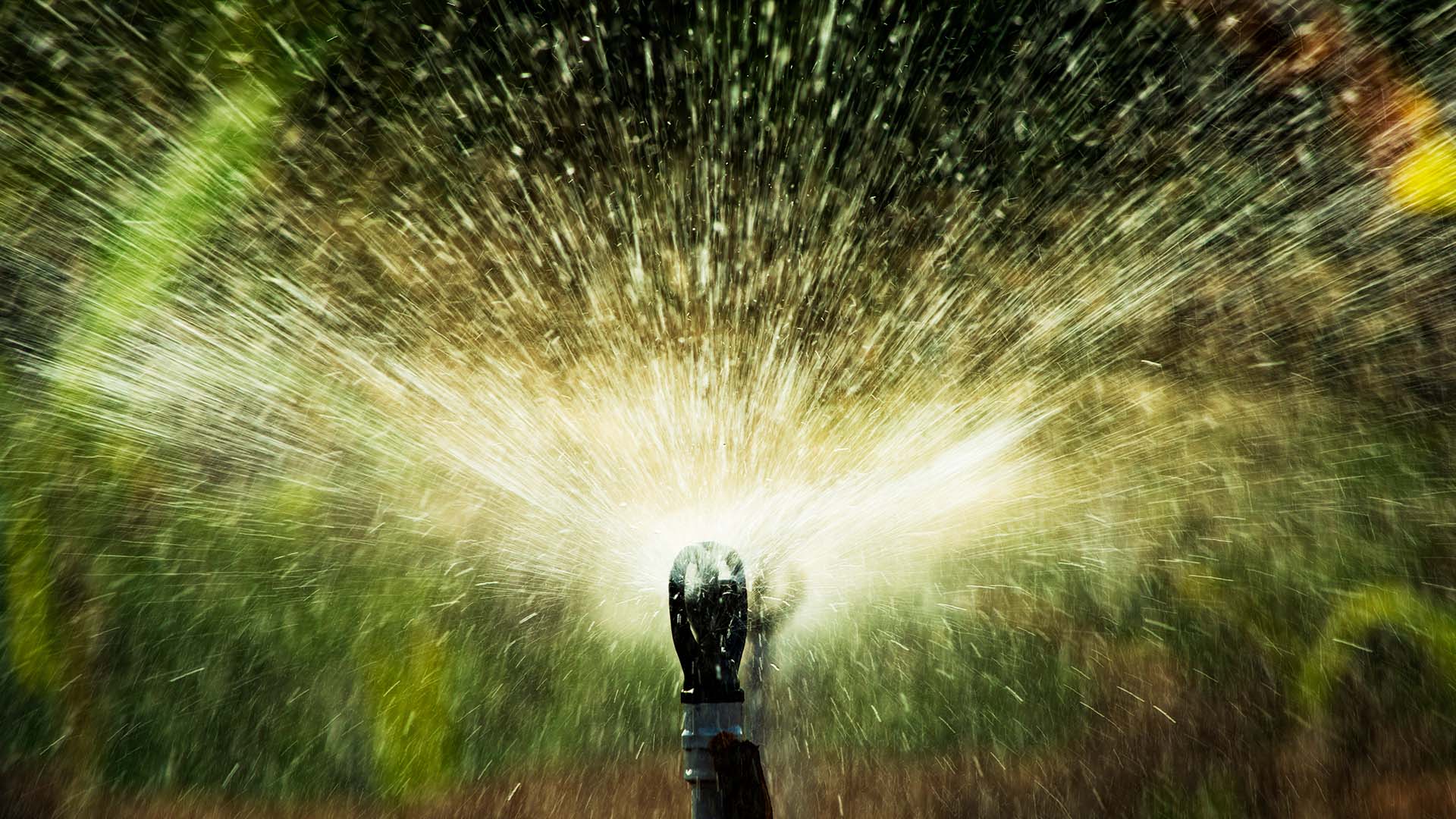 How to save water during Colorado’s drought